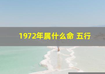 1972年属什么命 五行